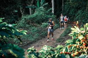 BIB: 
                            <button type="button" onclick="openModal(25808624)" class="btn btn-primary btn-sm float-right btn-popup" data-toggle="modal" data-target=".modal-high-quality">
                        <i class="fas fa-shopping-cart"></i> Add to Cart
                    </button>
                                            <button type="button" onclick="isThisMe(25808624, true)" class="btn btn-success btn-sm float-right btn-popup btn-isme hidden" data-toggle="tooltip" data-placement="bottom" title="นี่คือรูปของคุณใช่ไหม คลิกที่นี่เพื่อเอาเข้าอัลบั้ม">
                        <i class="fas fa-plus"></i> Add to album
                    </button>
                    <button type="button" onclick="isThisMe(25808624, false)" class="btn btn-warning btn-sm float-right btn-popup btn-isnotme hidden">
                        <i class="fas fa-ban"></i> Remove from album
                    </button>